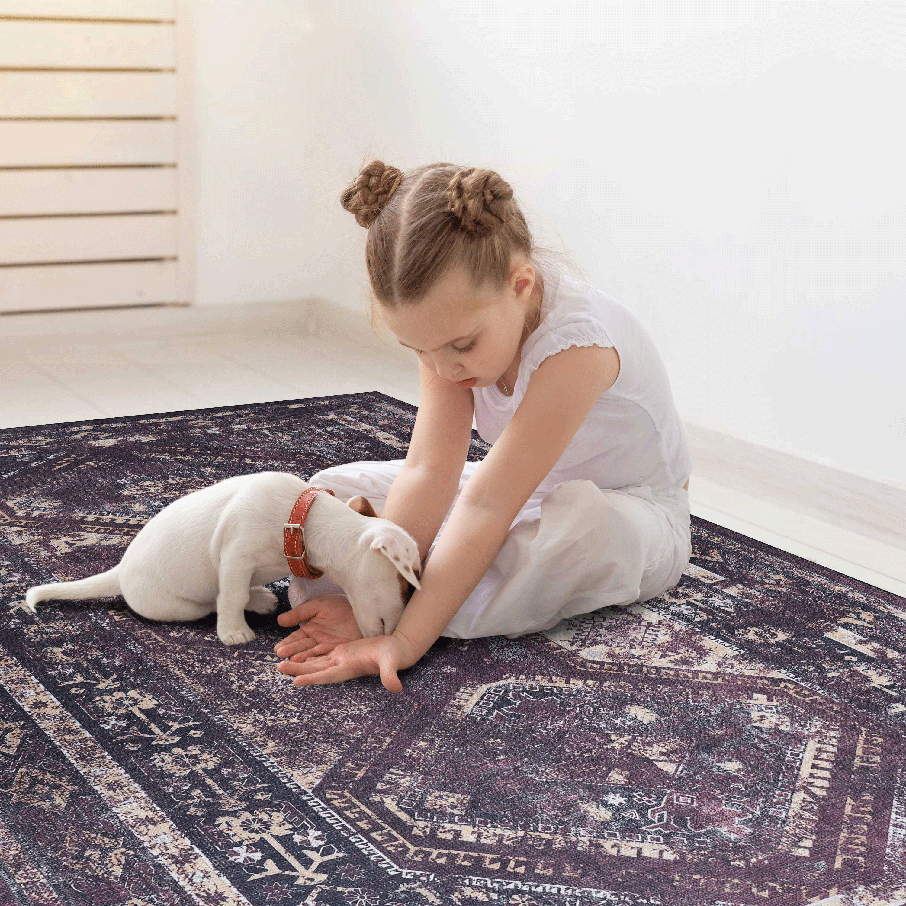 3x5 Area Rug, Washable Rug, Low-Pile, Non-Slip, Non-Shedding, Foldable, Kid & Pet Friendly