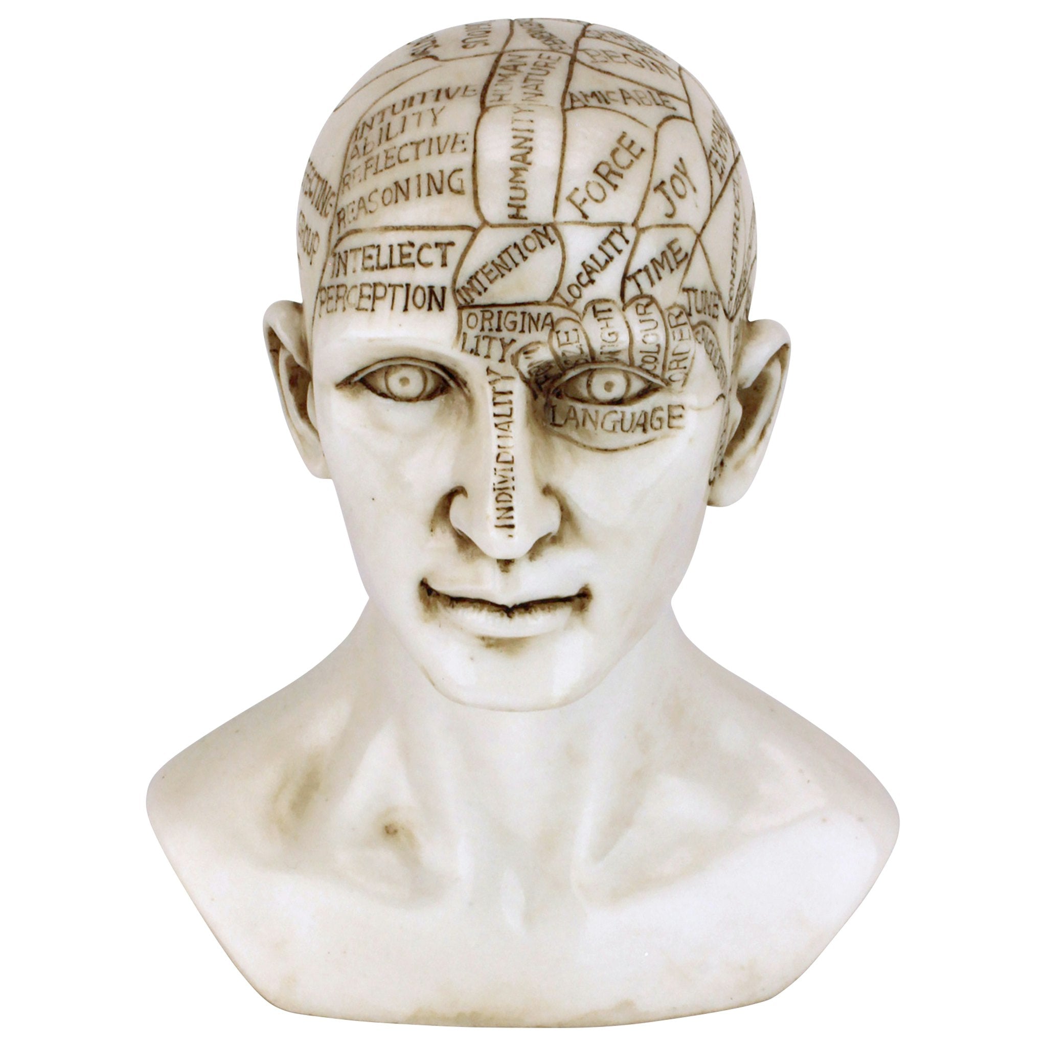 Phrenology the Science of the Brain Victorian Replica Statue