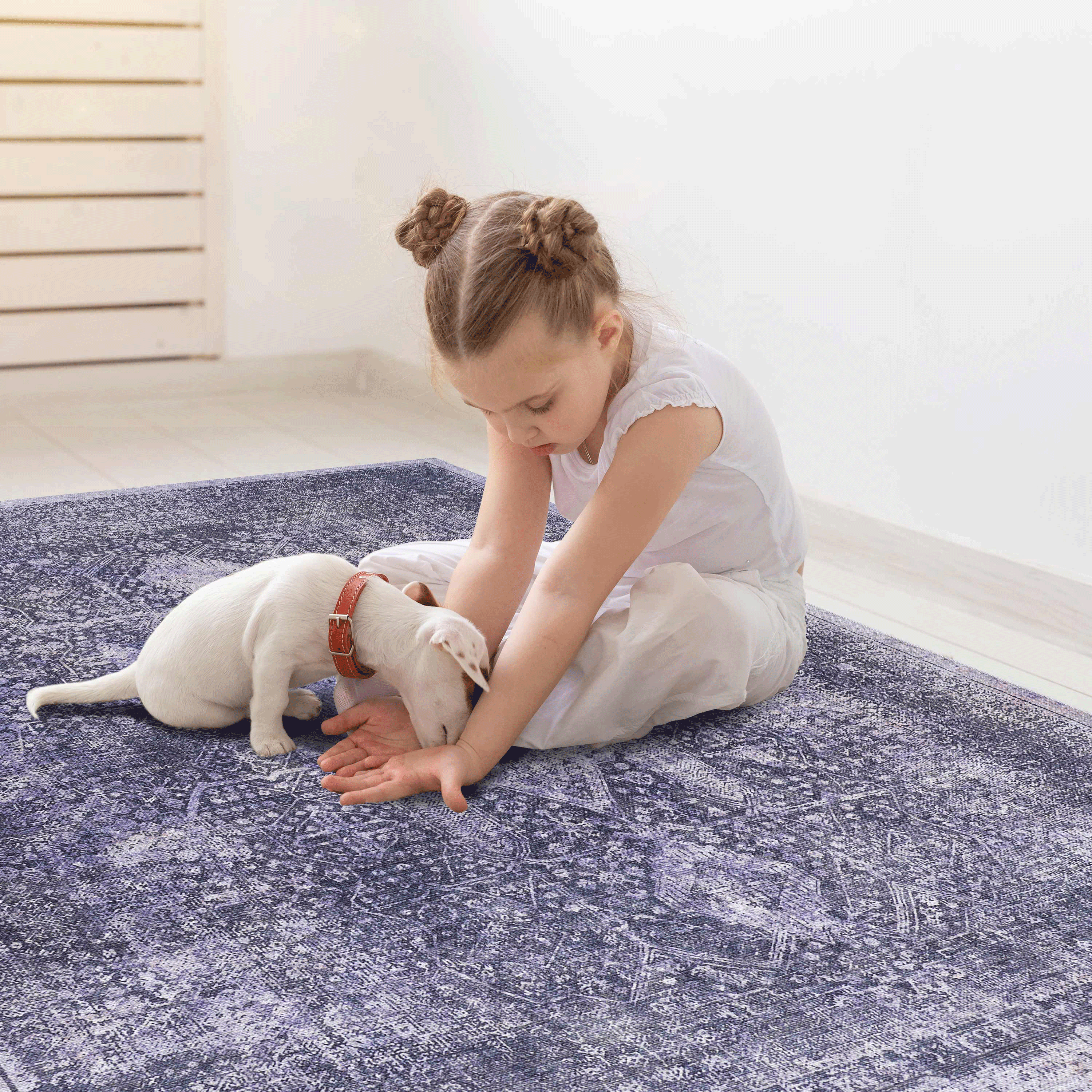 Area Rug 3x5, Washable Rug, Low-Pile, Non-Slip, Non-Shedding, Foldable, Kid & Pet Friendly