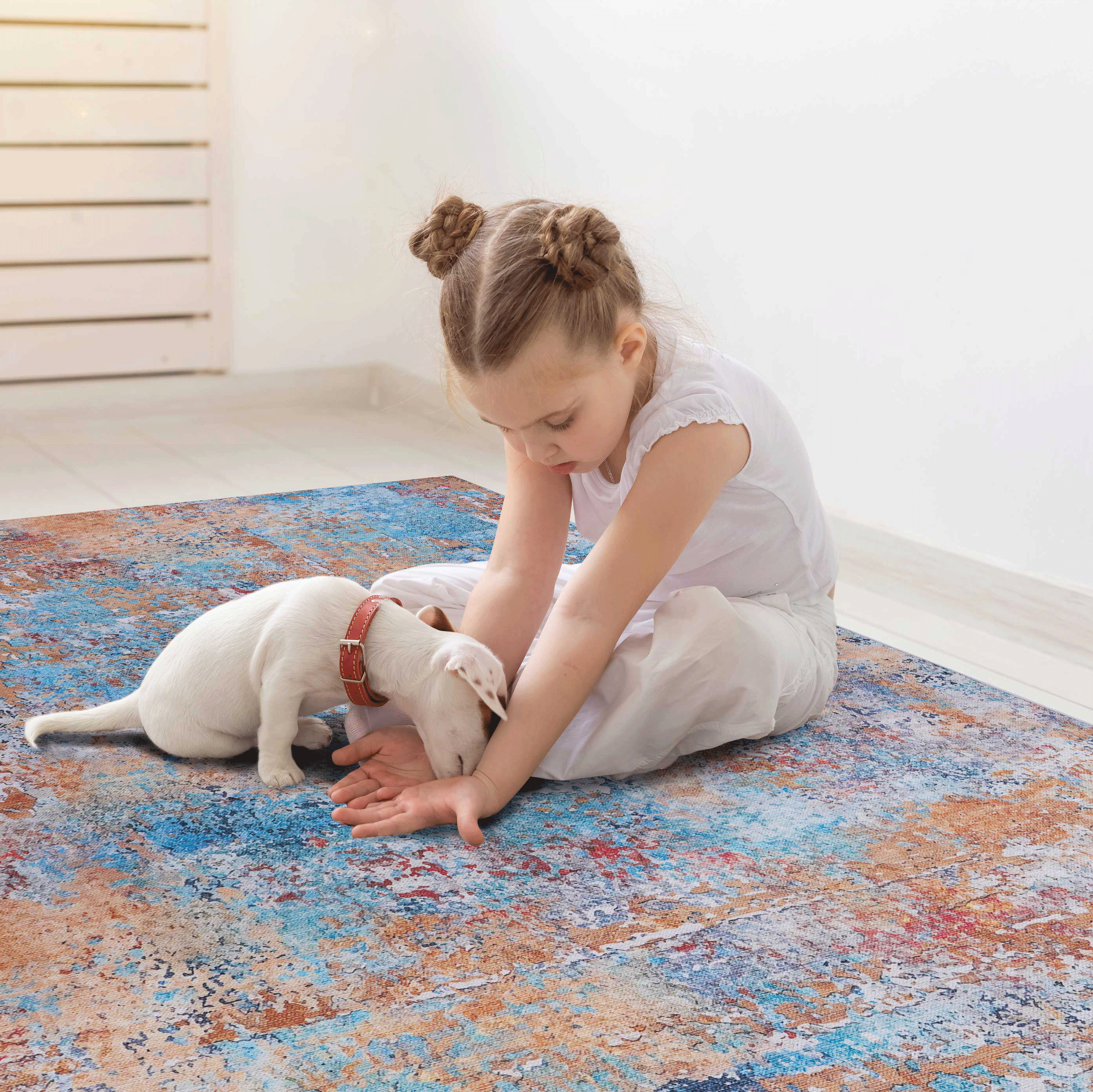 4x6 Area Rug, Washable Rug, Low-Pile, Non-Slip, Non-Shedding, Foldable, Kid & Pet Friendly