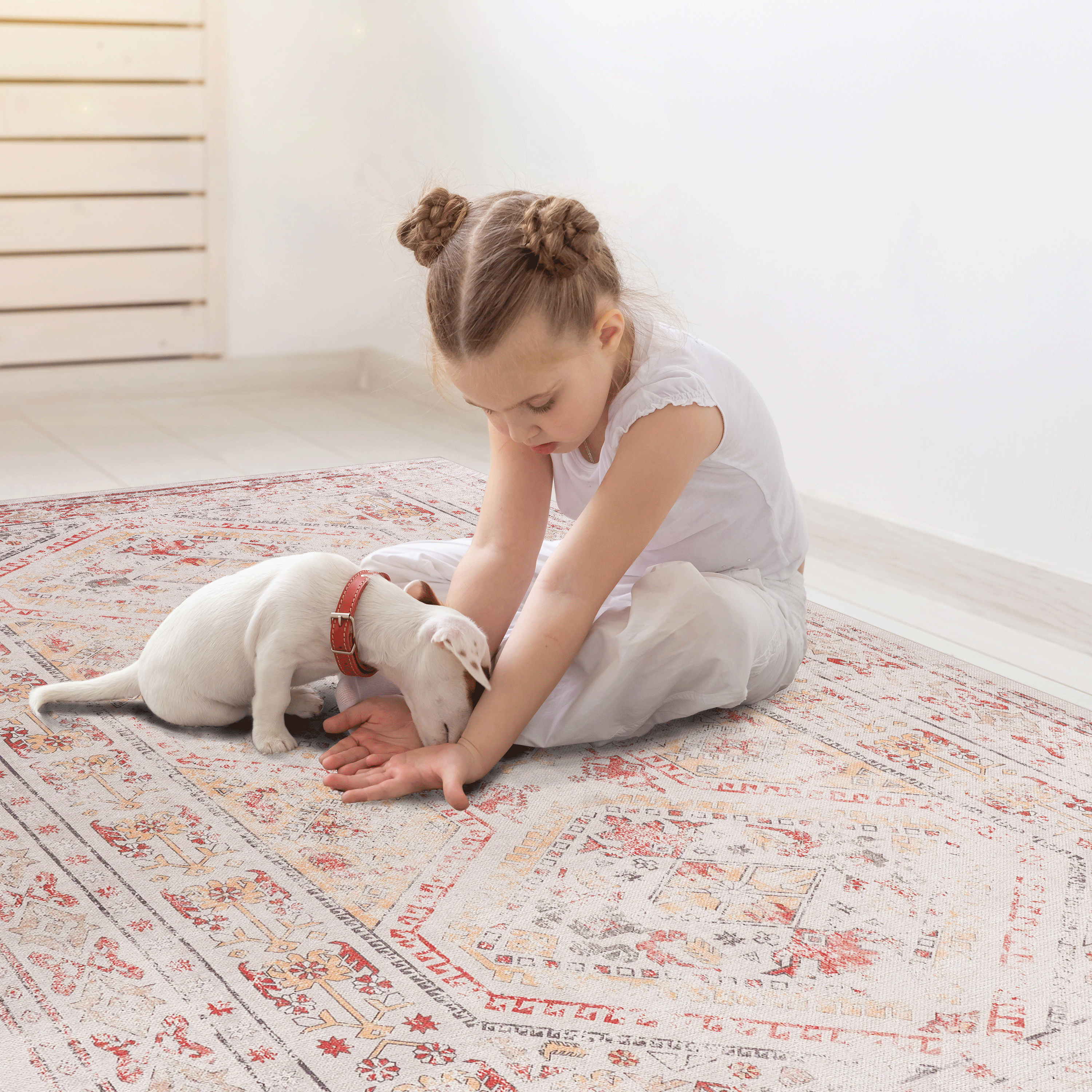 Naar 3x5 Area Rug - Beige Area Rugs - Kid & Pet Friendly Washable Rugs