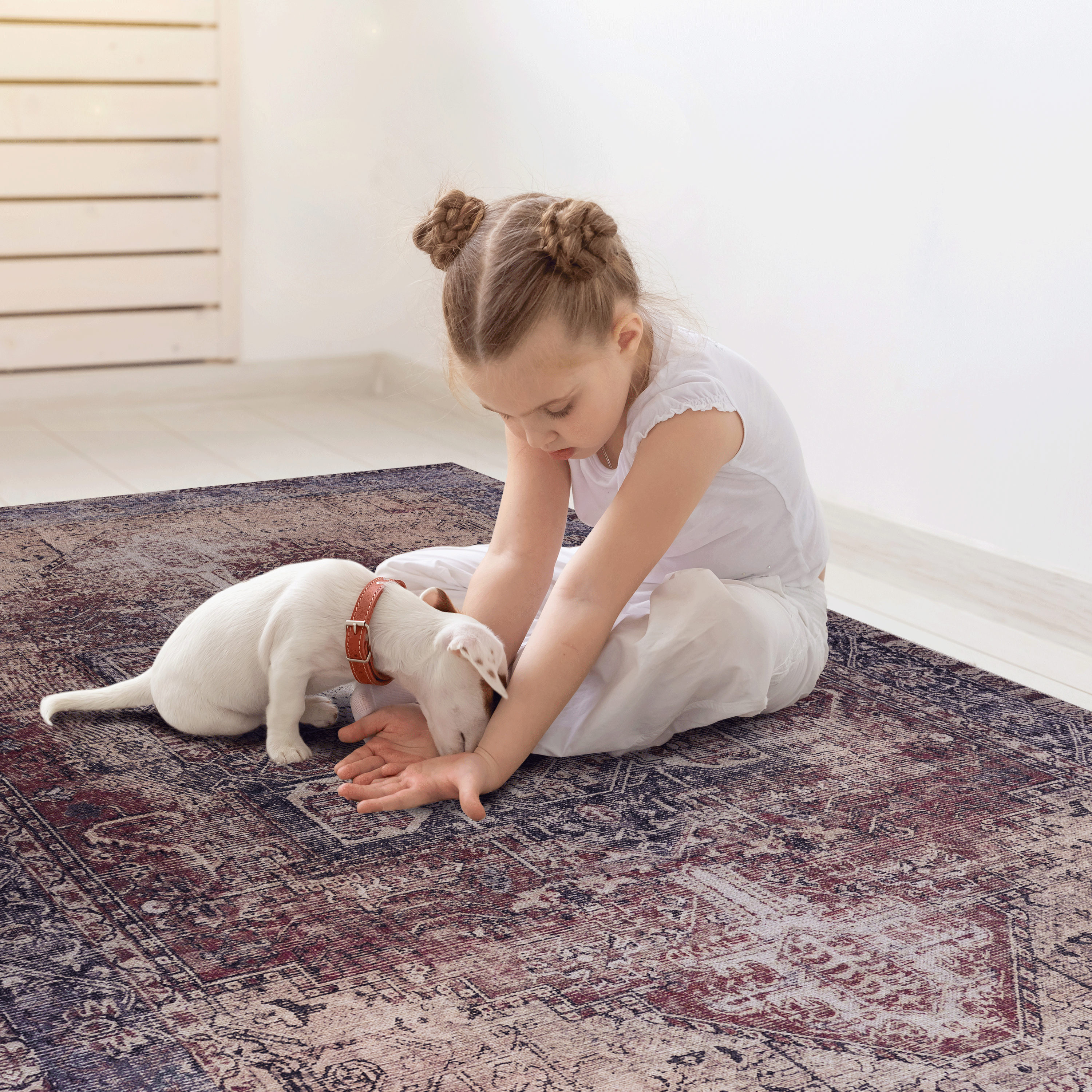 Naar 2x3  Washable Area Rugs, Low-Pile, Non-Slip, Non-Shedding, Foldable, Kid & Pet Friendly