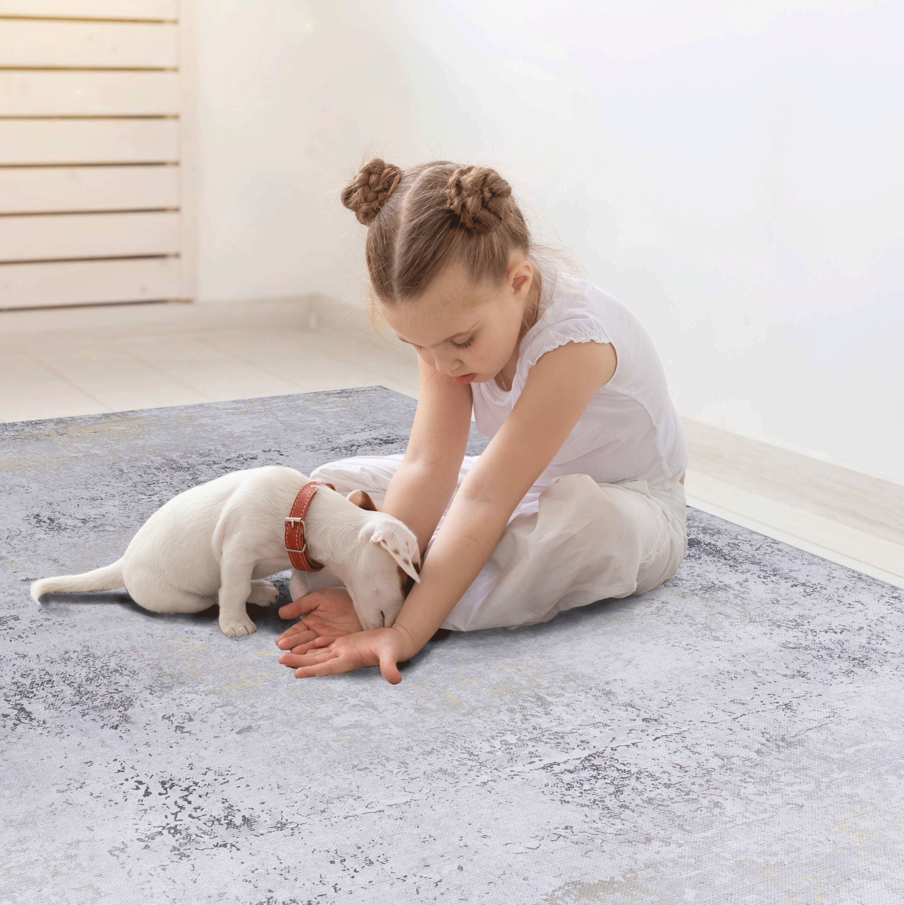 4x6 Area Rug, Washable Rug, Low-Pile, Non-Slip, Non-Shedding, Foldable, Kid & Pet Friendly