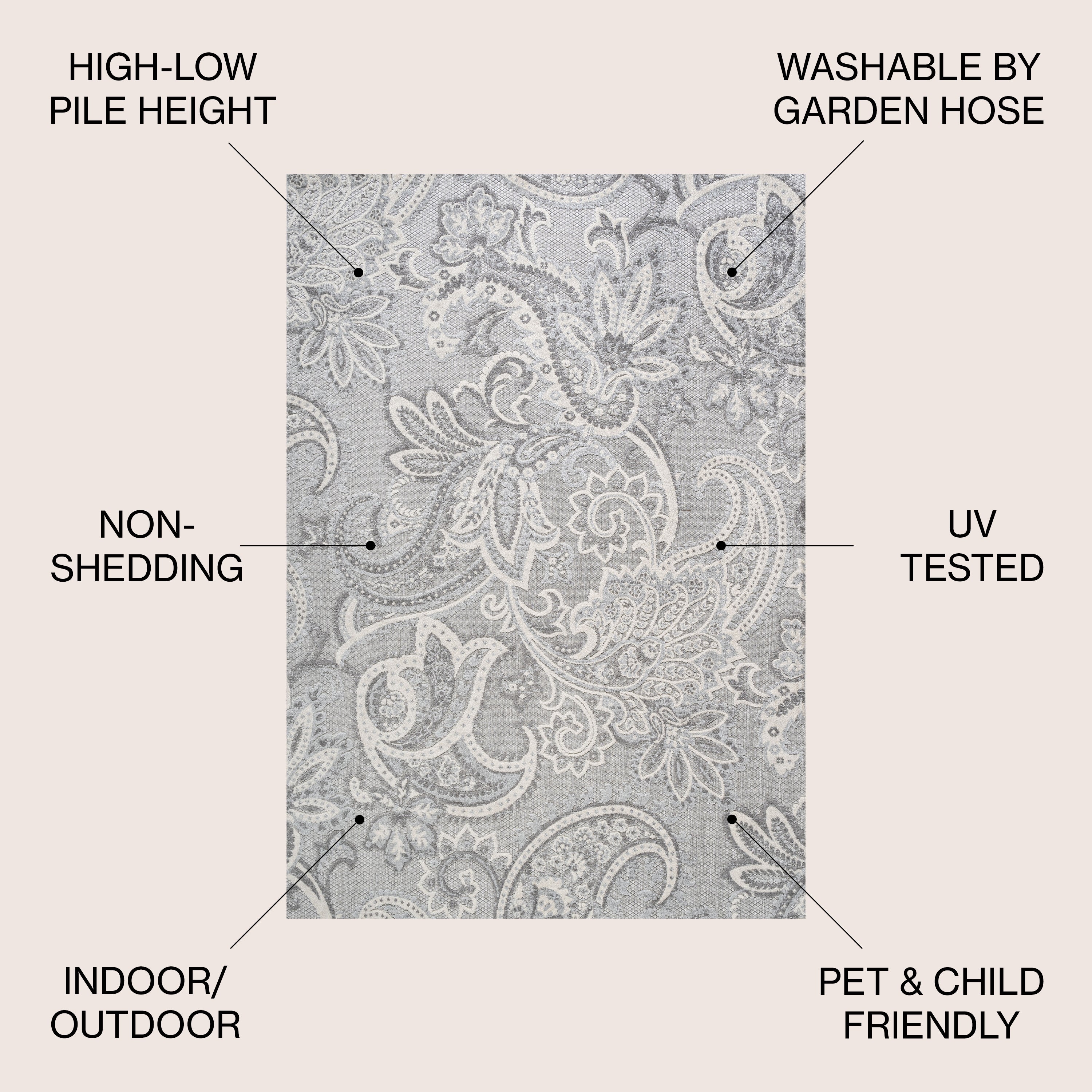 Gordes Paisley High-Low Indoor/Outdoor Area Rug