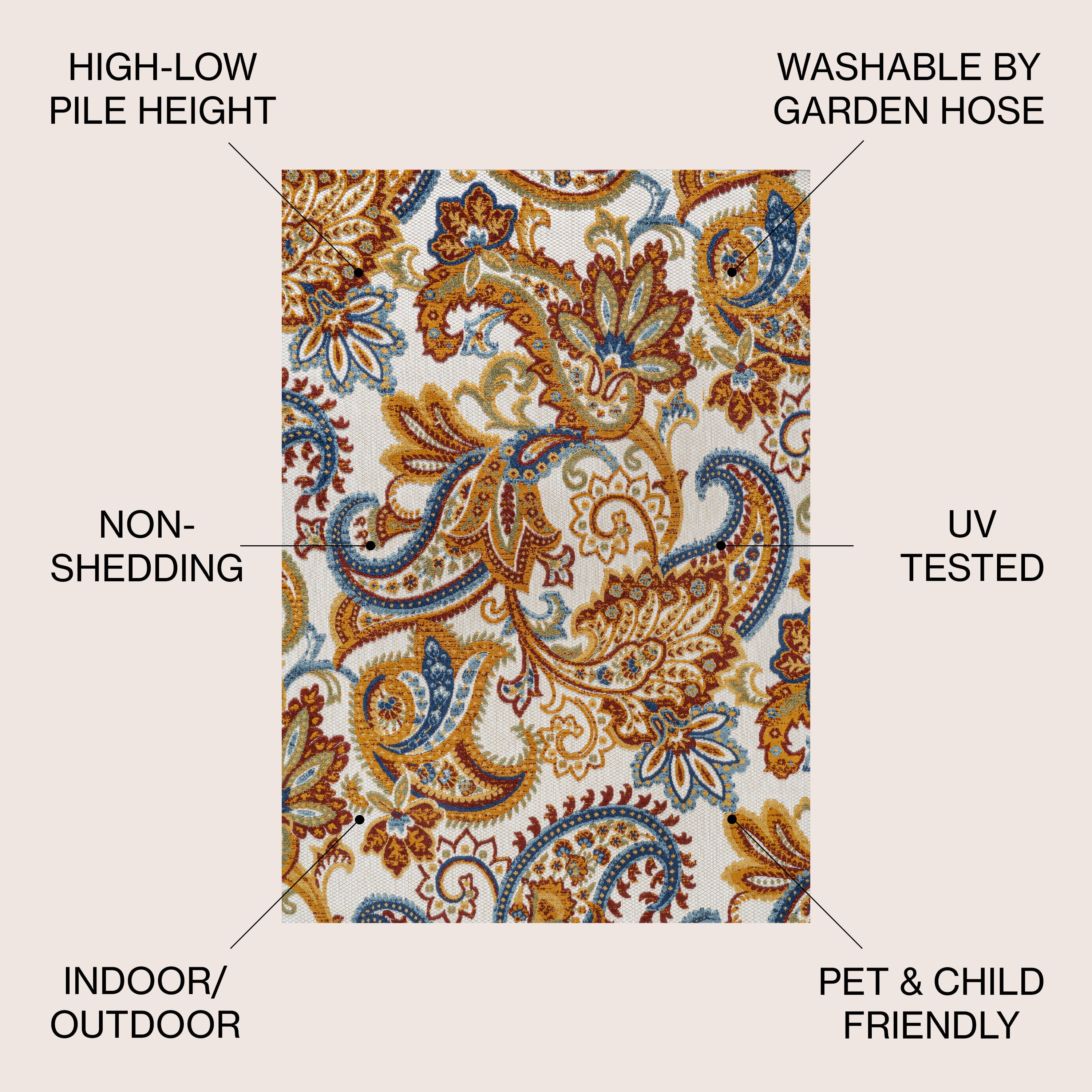 Gordes Paisley High-Low Indoor/Outdoor Area Rug