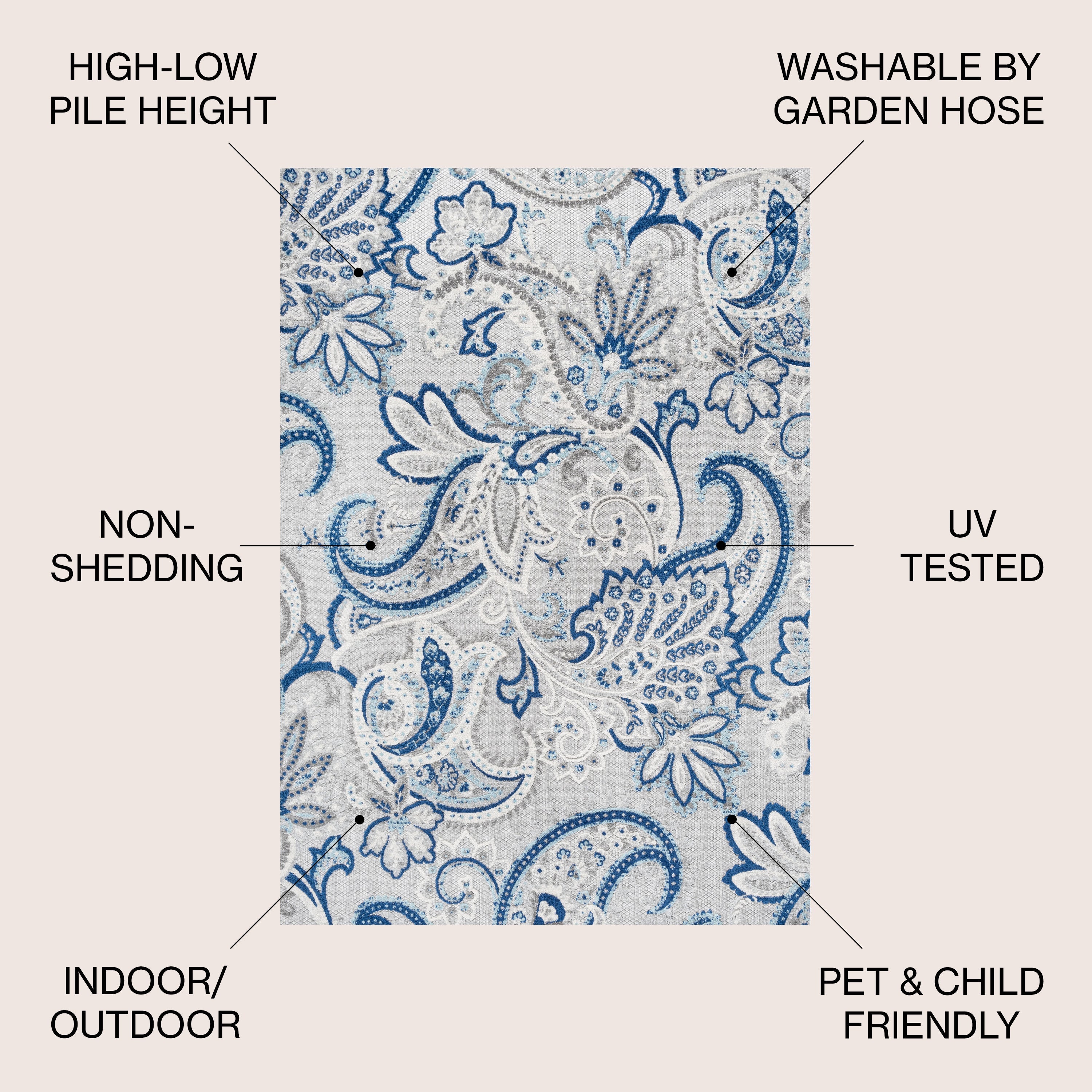 Gordes Paisley High-Low Indoor/Outdoor Area Rug