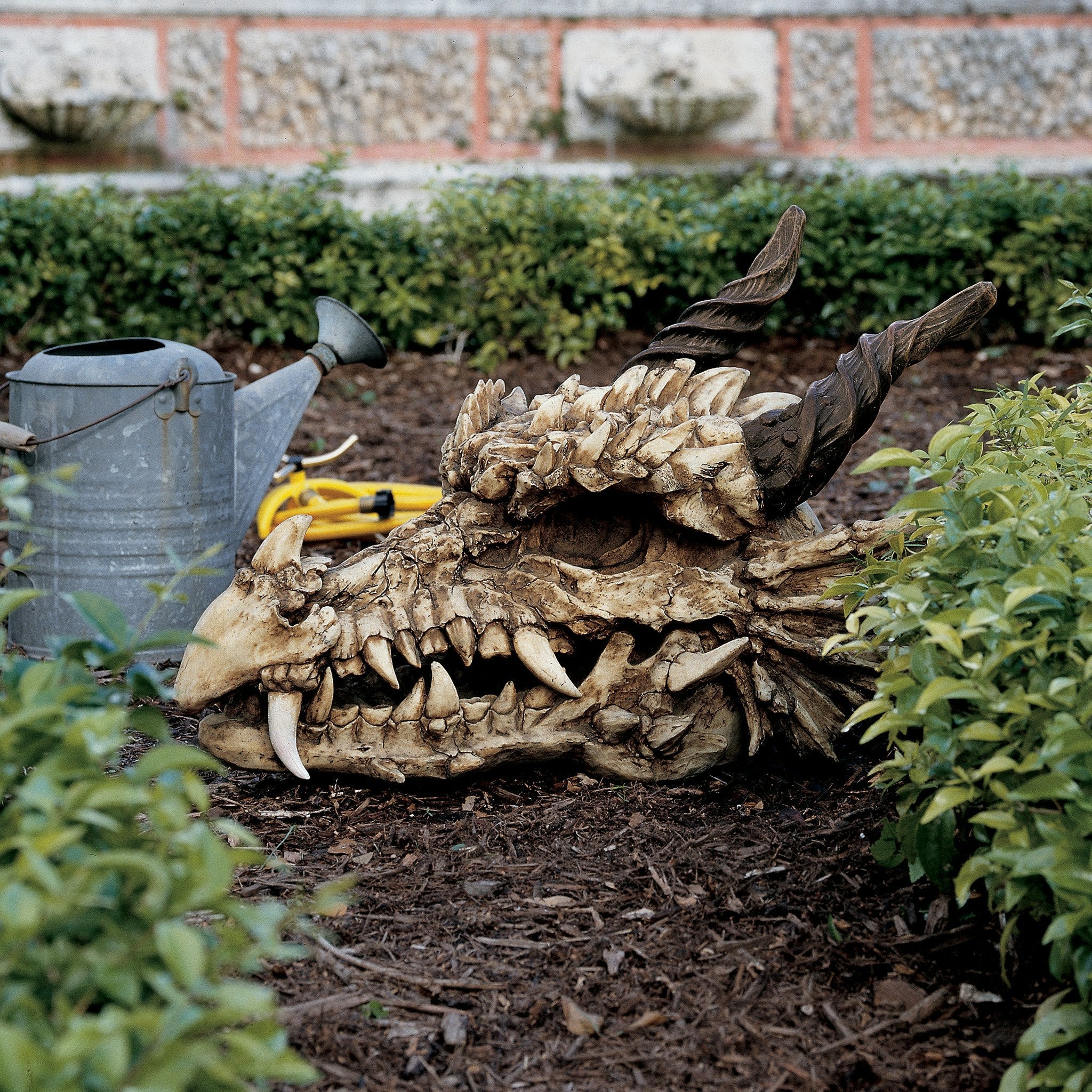 Stoker's Moors Dragon Skull Sculpture: Large