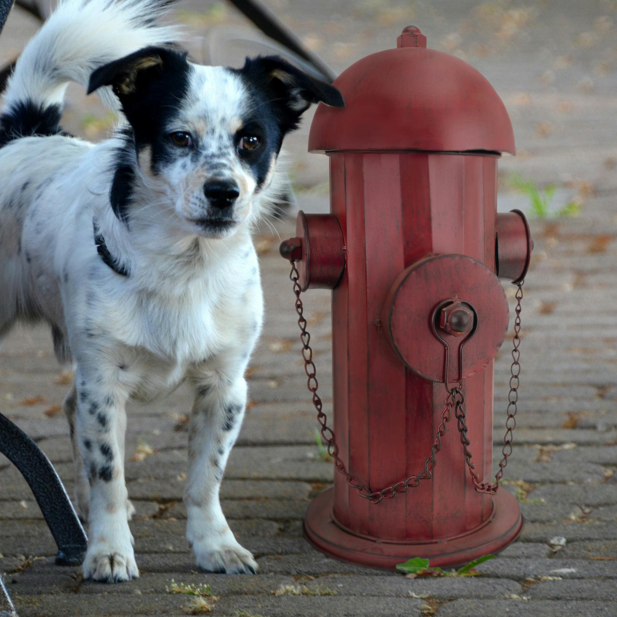 Vintage Metal Fire Hydrant Statue: Medium