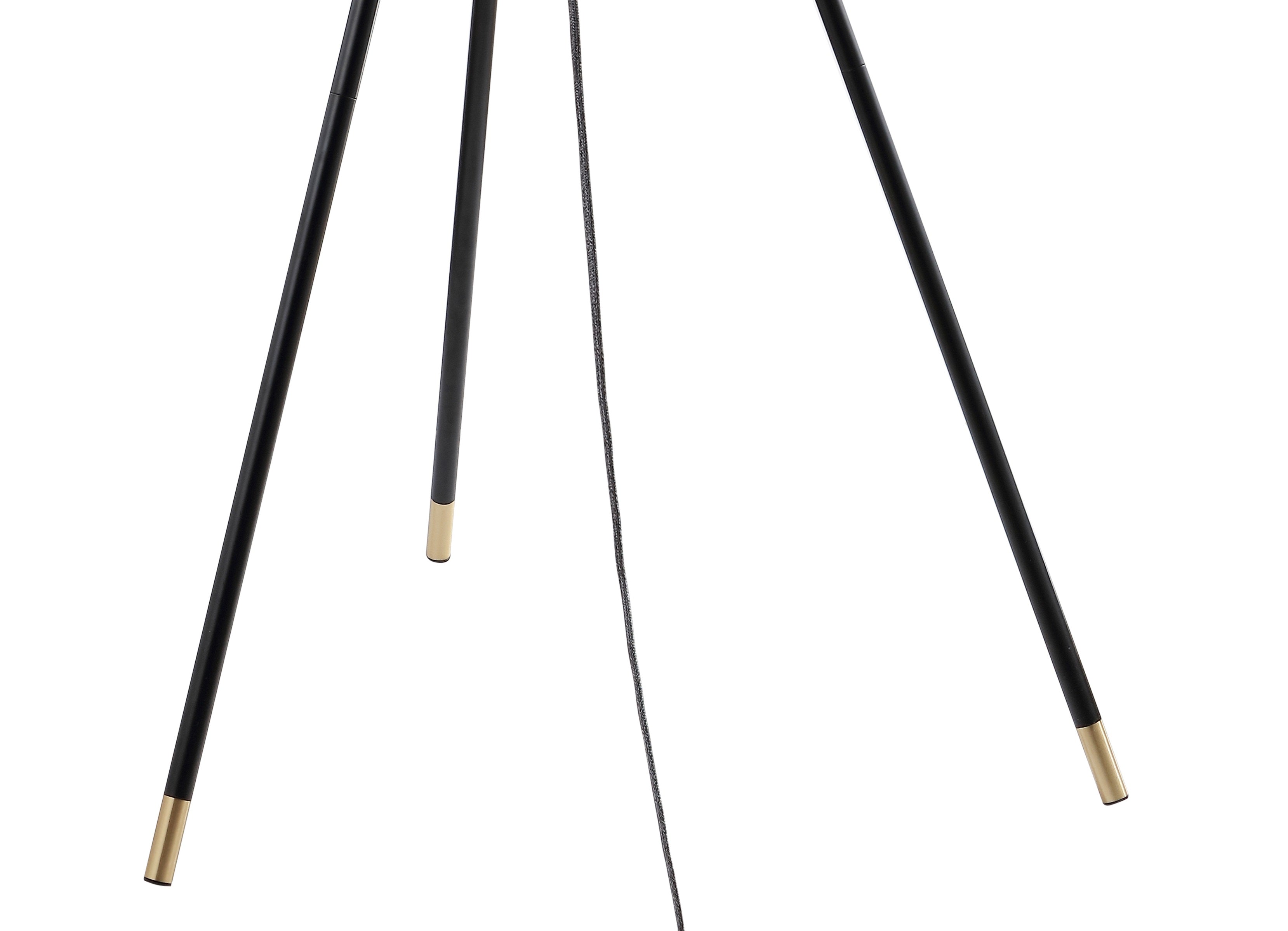 Lucius Adjustable Metal LED Floor Lamp