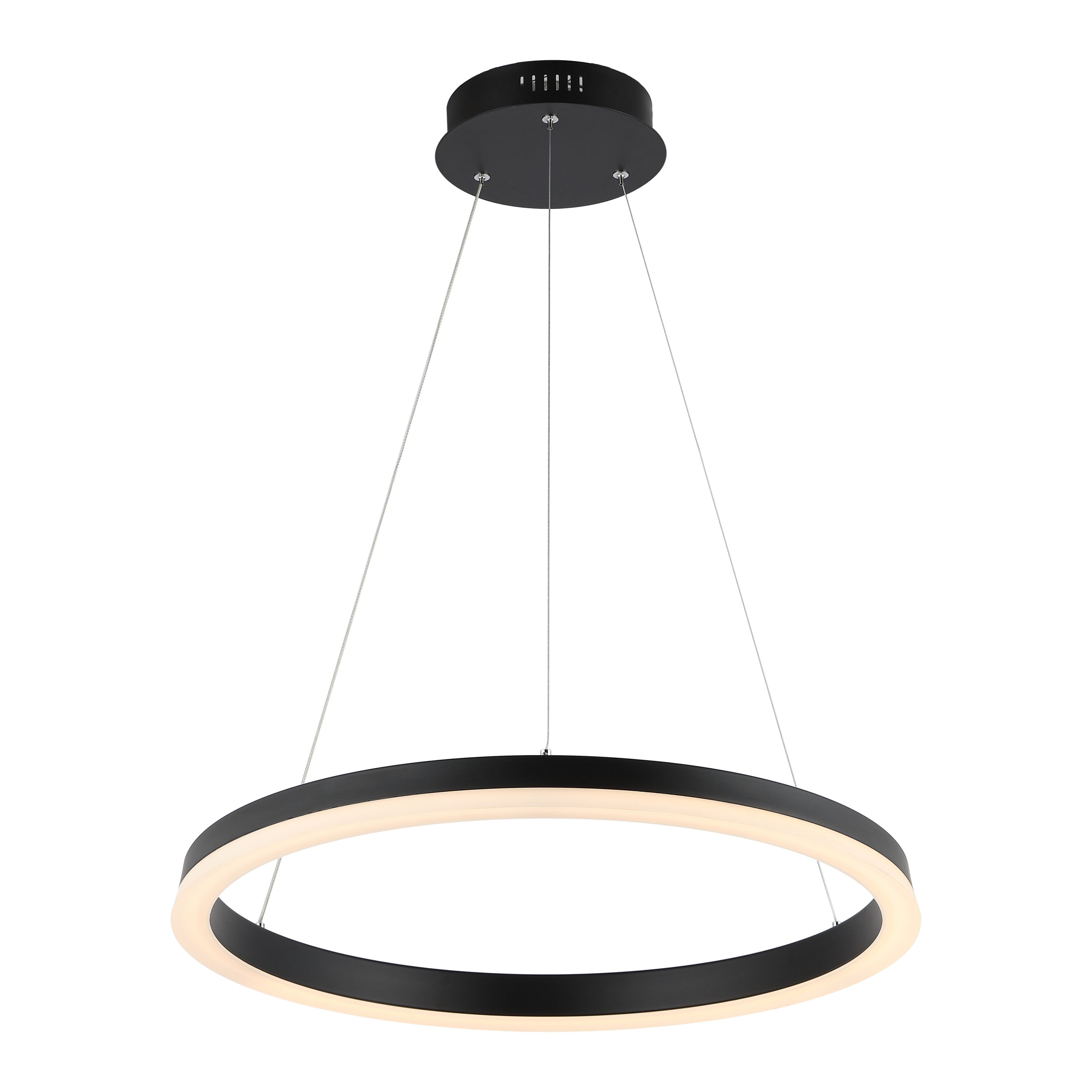 Baxter 1-Light Modern Contemporary Aluminum Integrated LED Hoop Pendant
