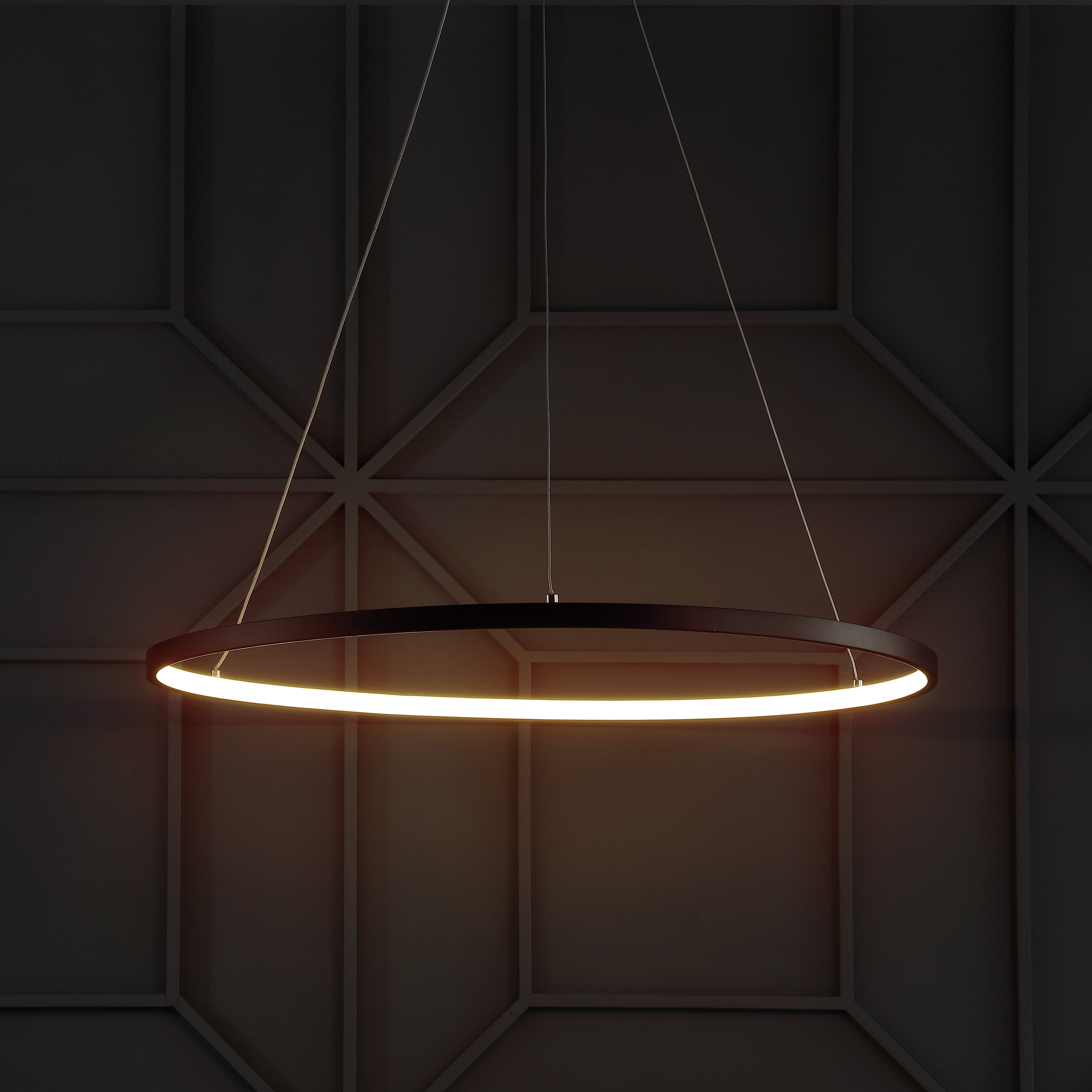 Brice Modern Contemporary Iron Integrated LED Pendant