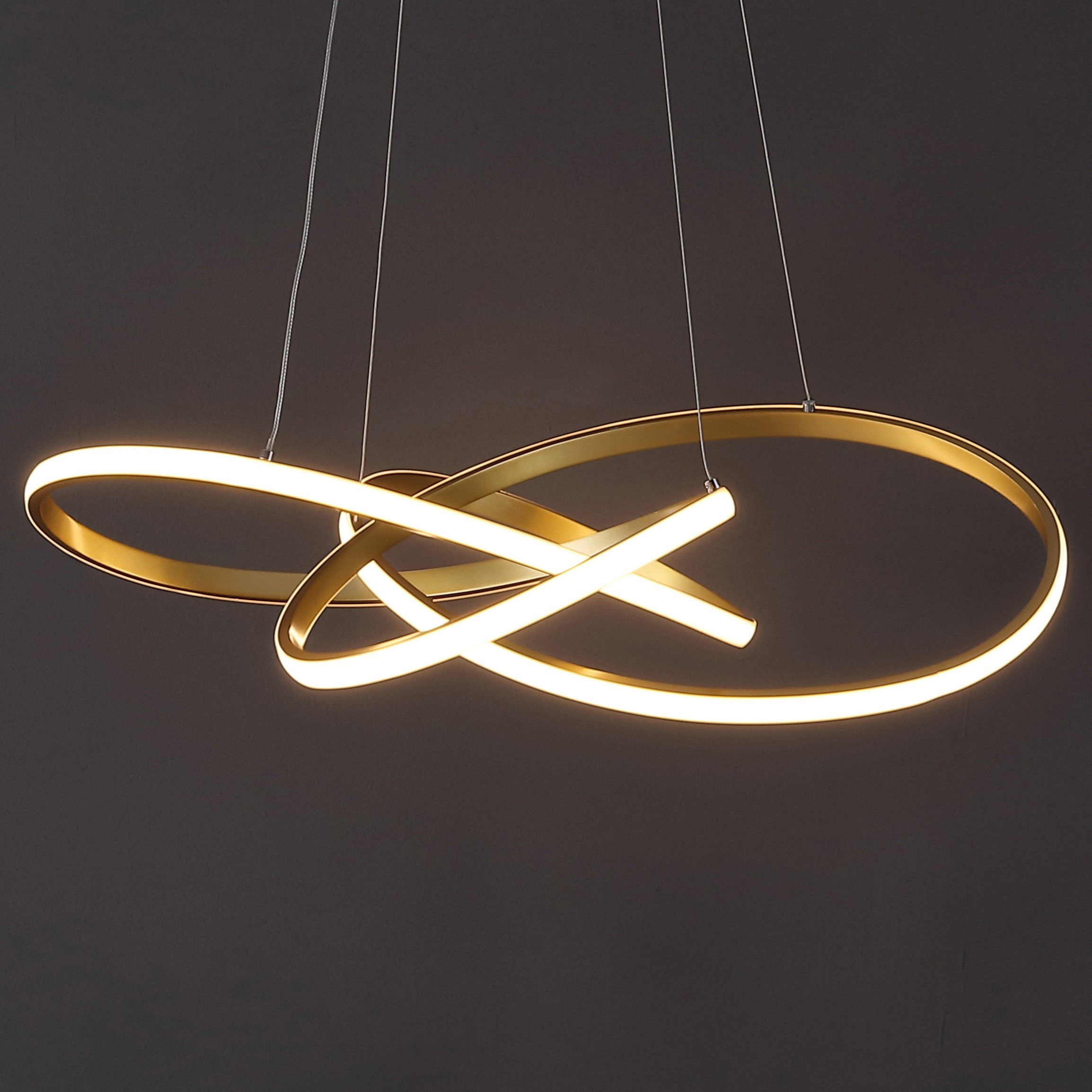Alexia Abstract Integrated LED Metal Adjustable Pendant