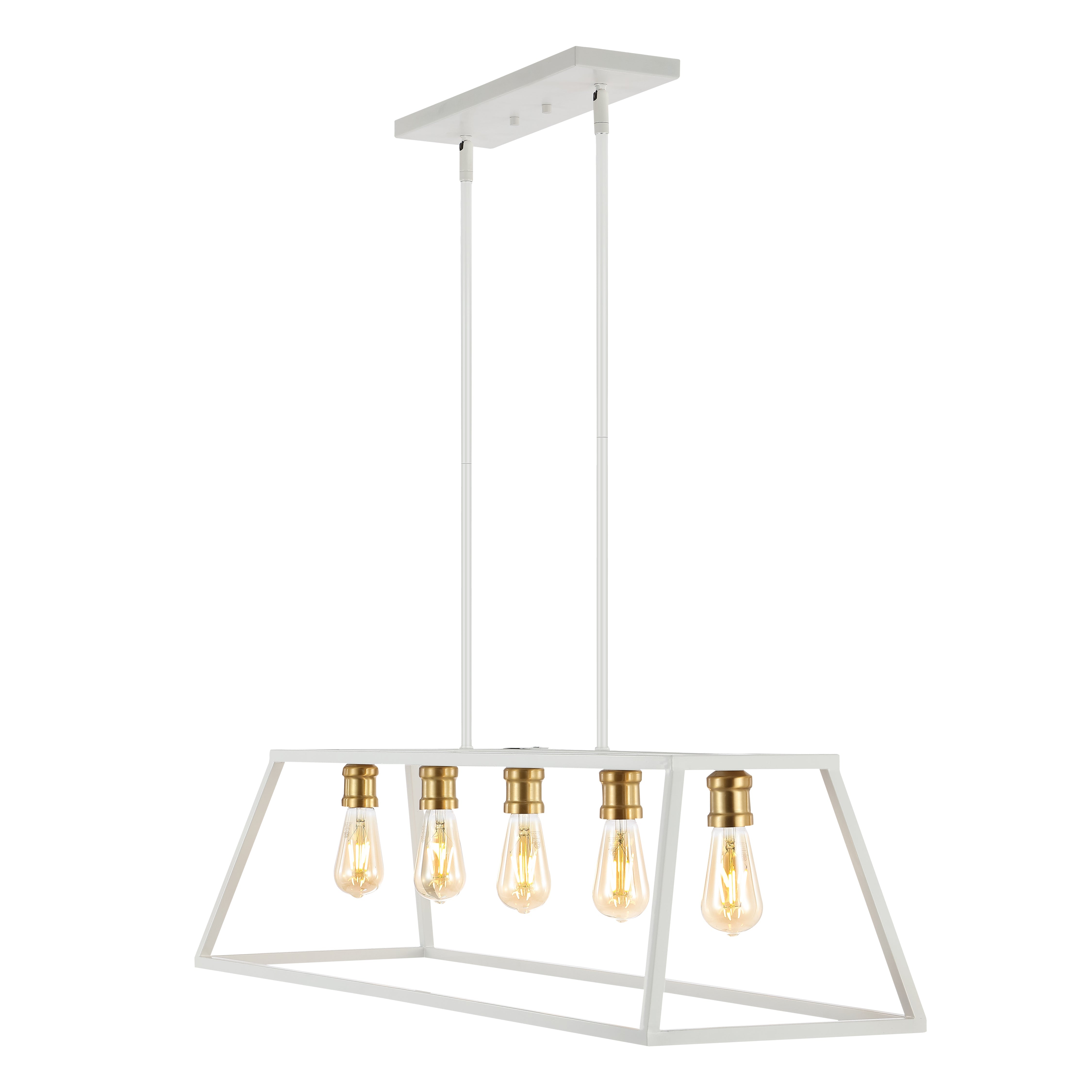 Floyd 5-Light Bohemian Farmhouse Iron Adjustable LED Pendant