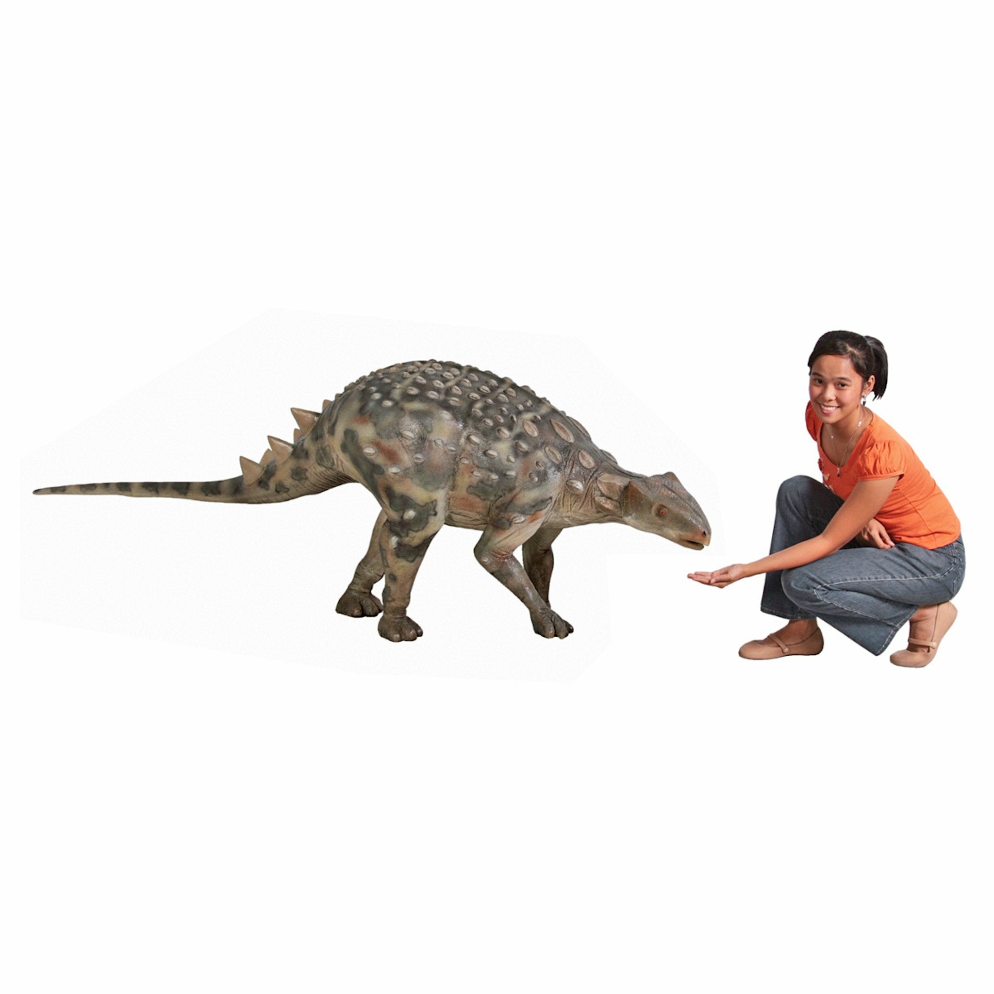 Minmi Ankylosaurs Scaled Dinosaur Statue