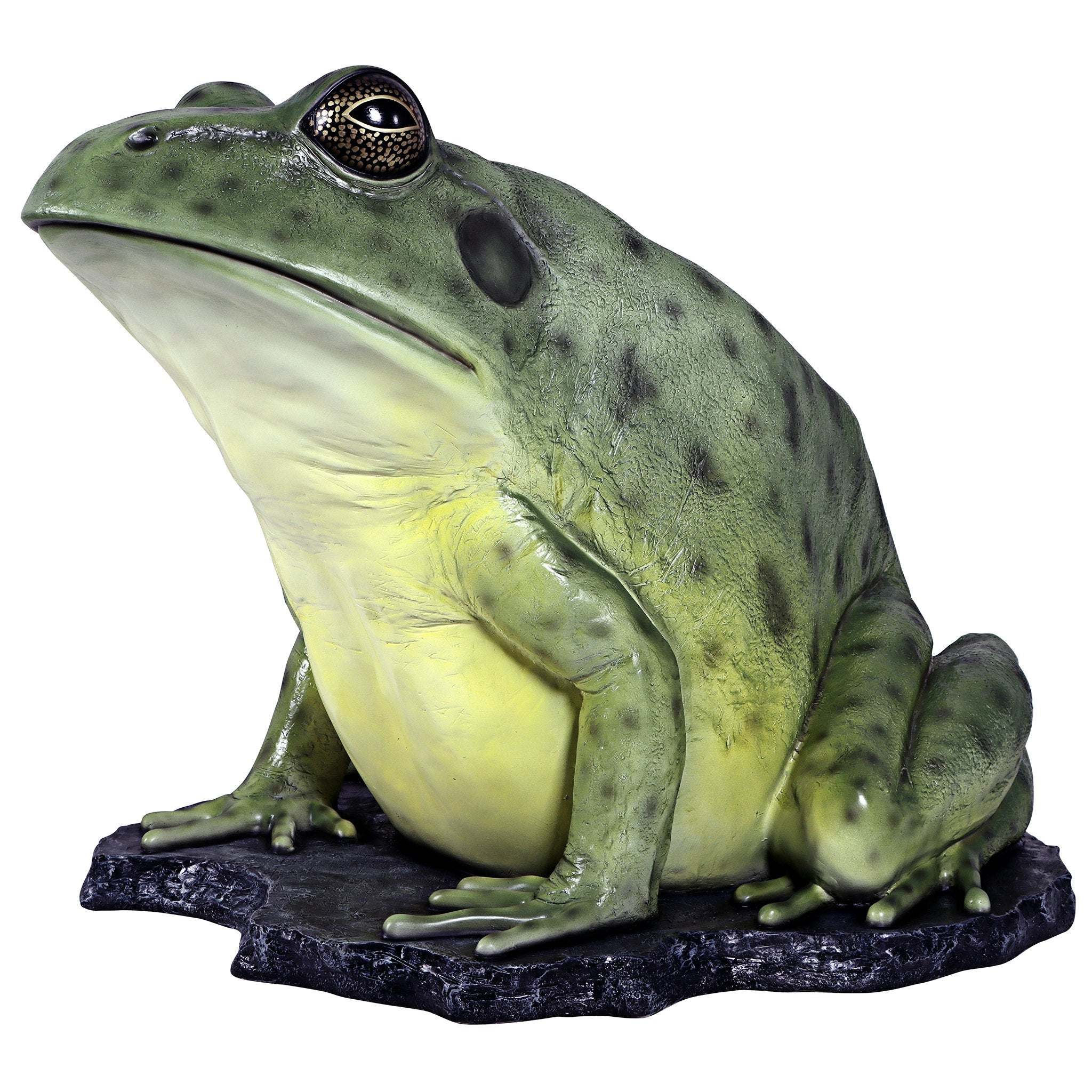 Great Green Barred Frog Statue