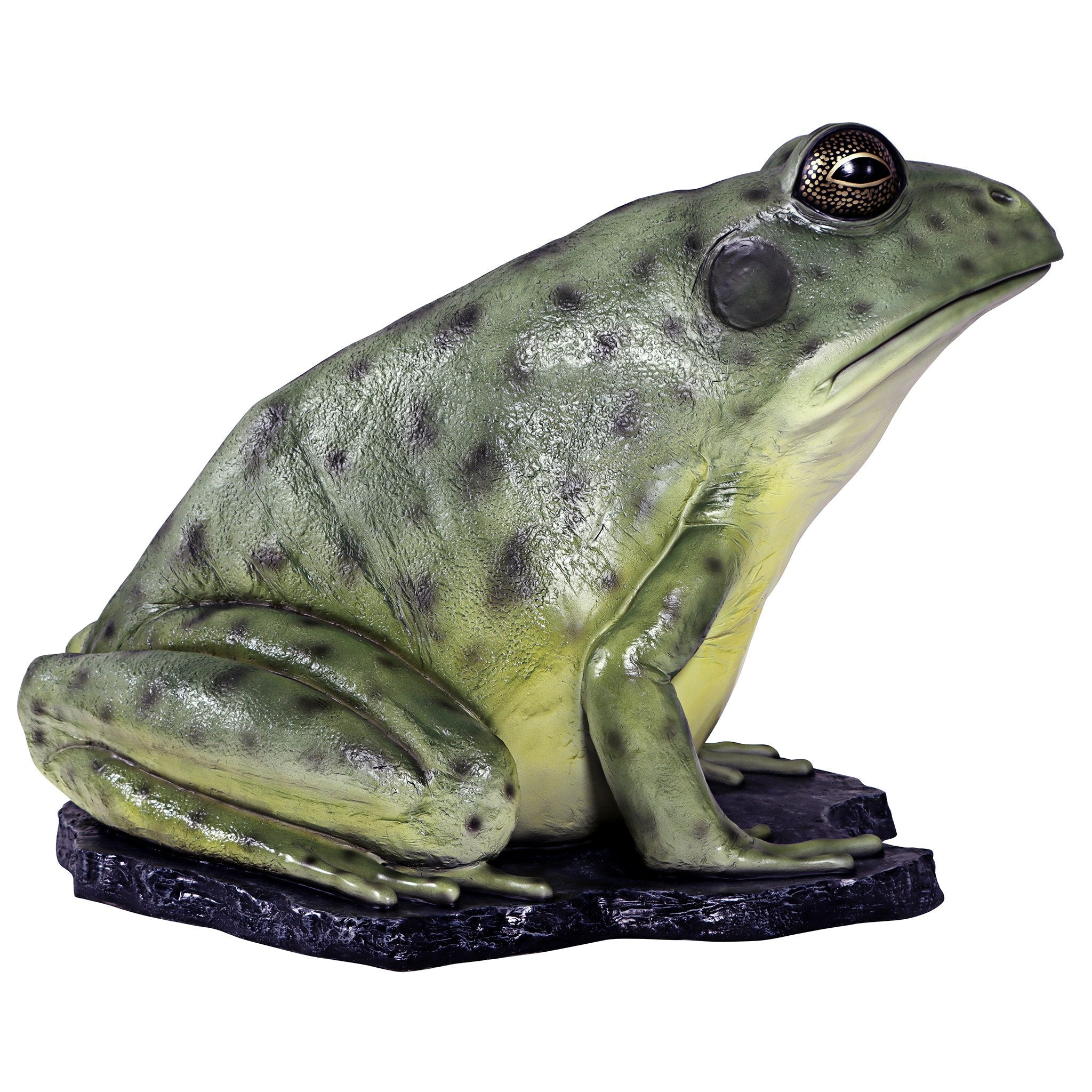 Great Green Barred Frog Statue