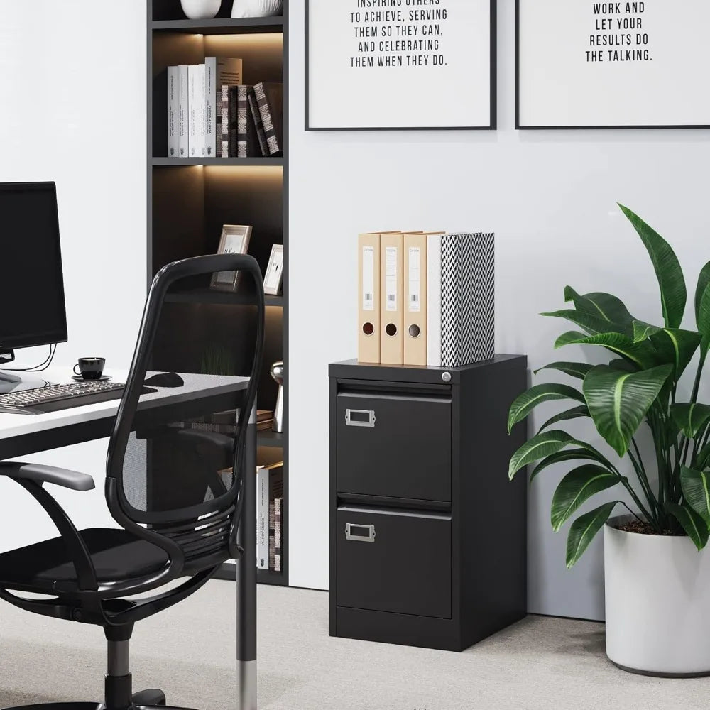 Steel 2-Drawer File Cabinet with Lock