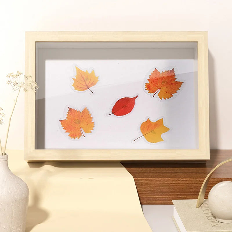 Shadow Box Photo Frame for 3D Flowers & DIY Home Decoration