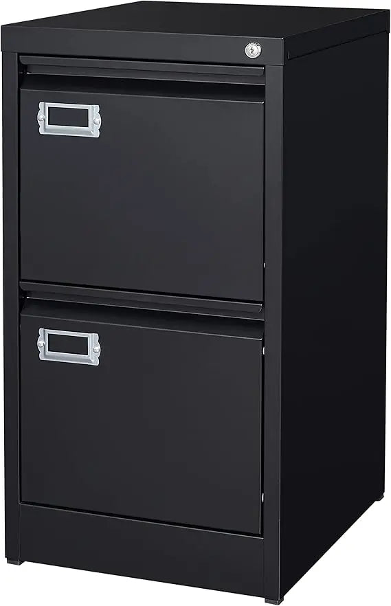 Steel 2-Drawer File Cabinet with Lock