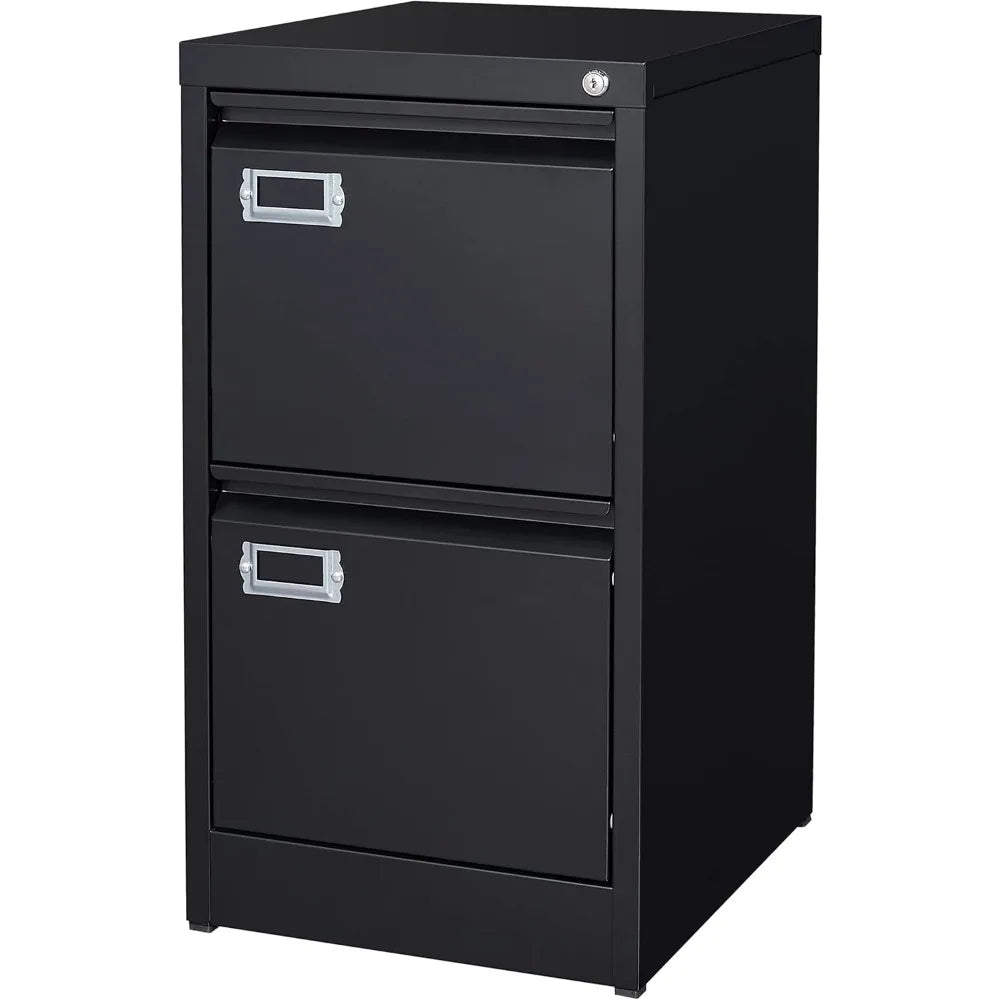 Steel 2-Drawer File Cabinet with Lock