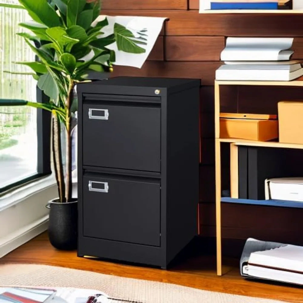 Steel 2-Drawer File Cabinet with Lock