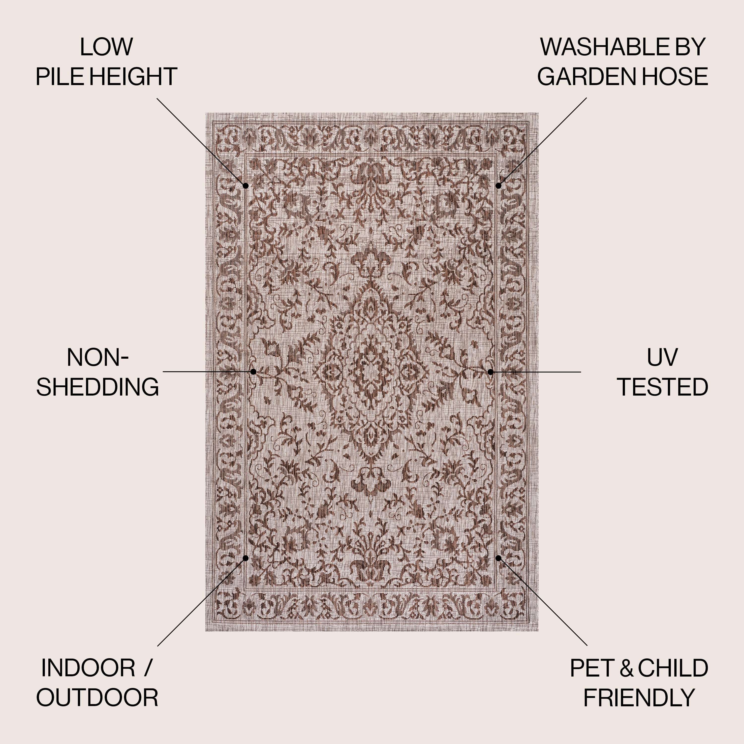 Jerash Ornate Medallion Indoor/Outdoor Area Rug