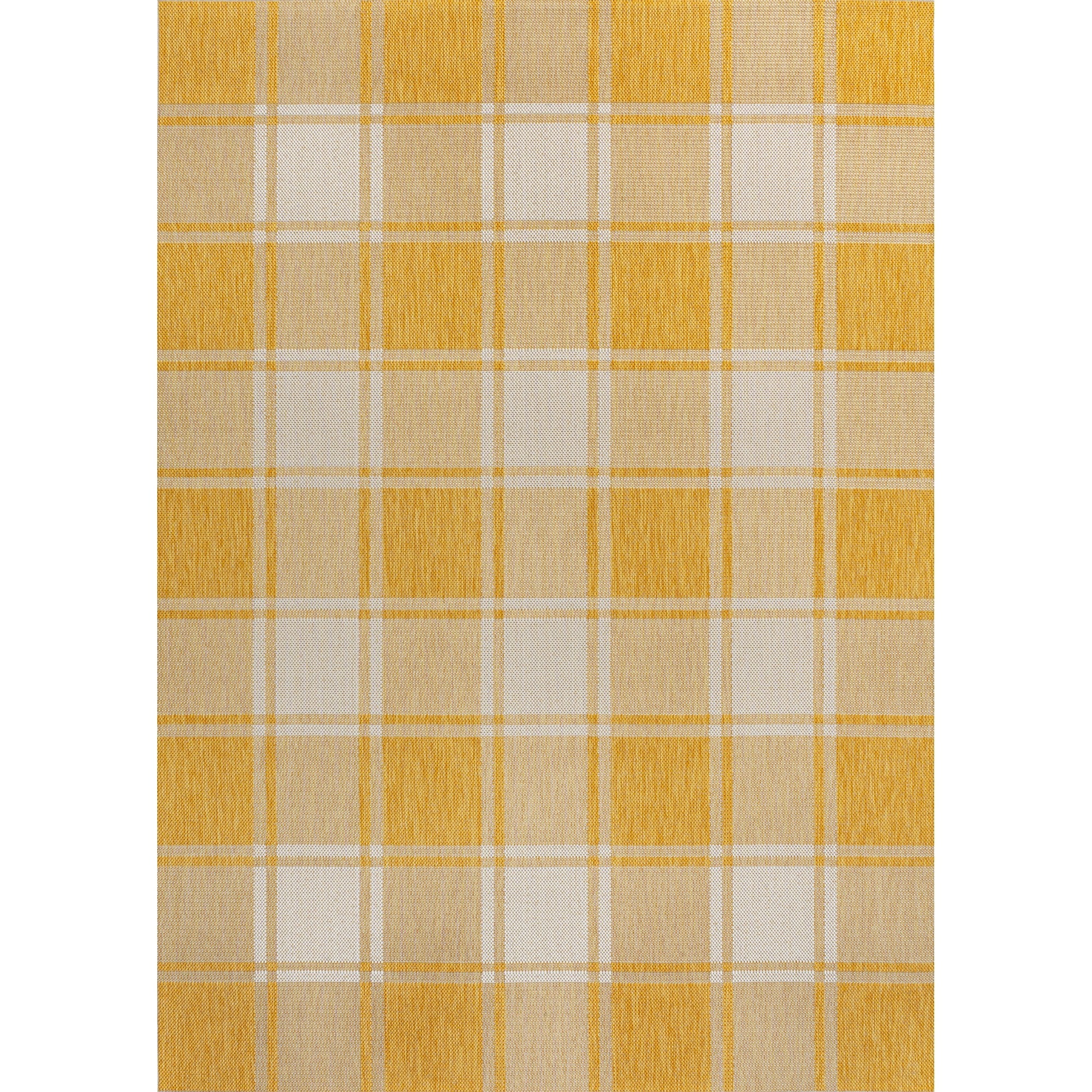 Sabine Traditional Farmhouse Bold Gingham Indoor/Outdoor Area Rug