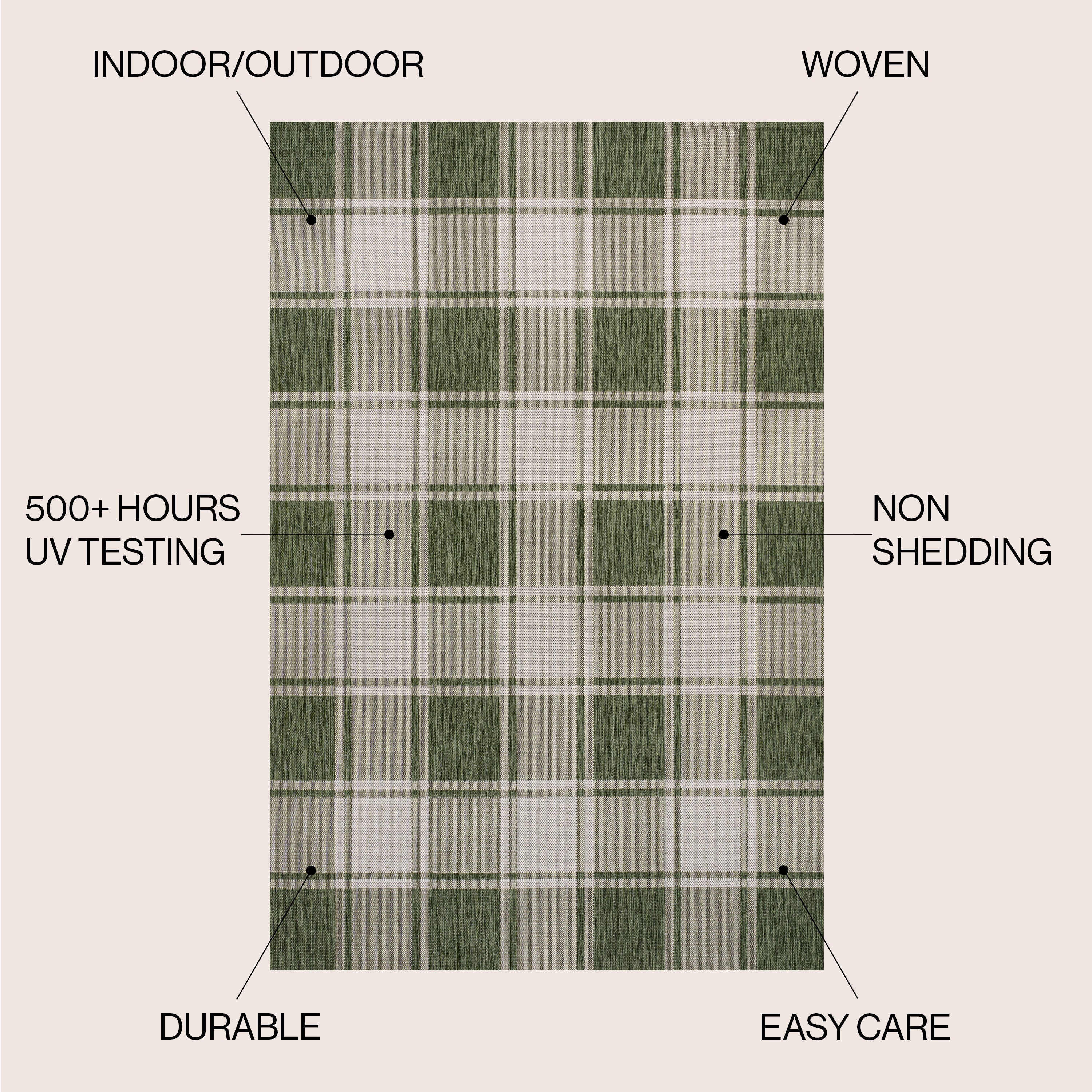 Sabine Traditional Farmhouse Bold Gingham Indoor/Outdoor Area Rug